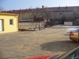 Janik_back5